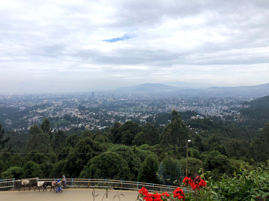 View of Addis Ababa from Entoto
